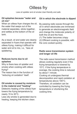 オイルレスフライ説明a4-eng